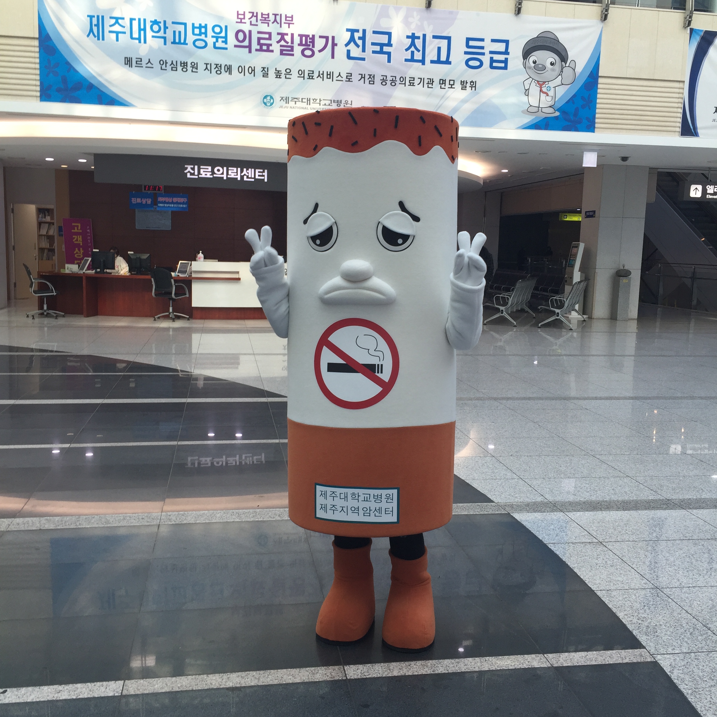 20151210112250705_ZO5R0ESM