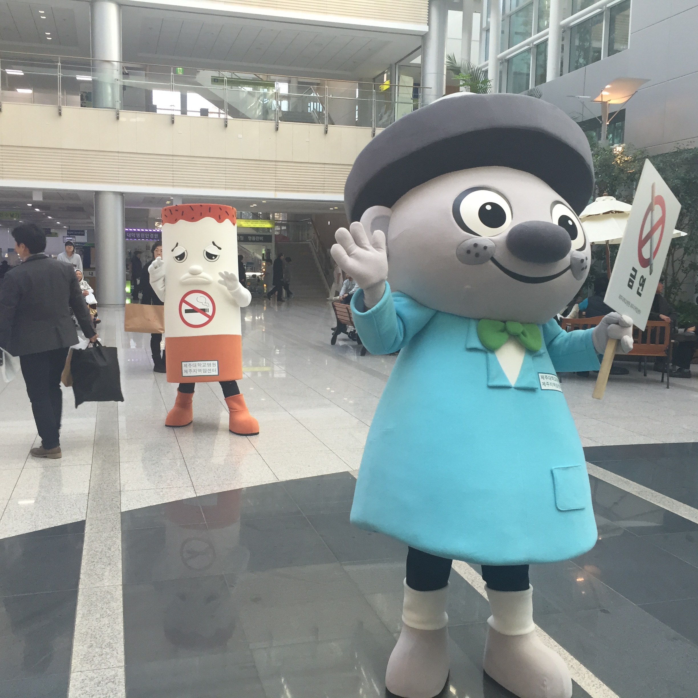 20151210112358279_AS2VA3L2